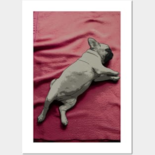 Sleeping Pug Puppy Posters and Art